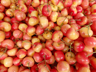 Bunch of red and yellow cherry at a farmers market