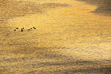 四国、11月の小豆島　香川・日本