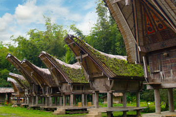 Traditional Tongkonan houses,Toraja house in the south Sulawesi -Indonesia