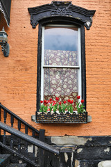 This is a cute window box on a window on a building in downtown West Virginia.
