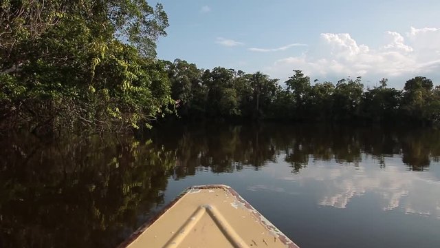 Sailing through the jungle flooded jungle in Pacaya Samiria National Reserve, Peru