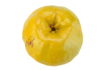 Quince ripe fruit