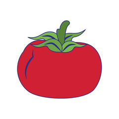 Tomato vegetable healthy food cartoon blue lines