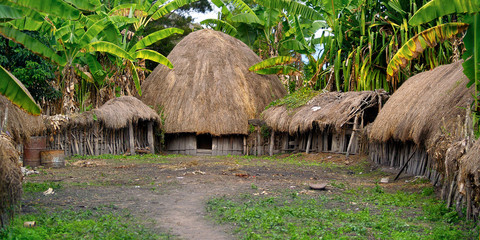 traditional hut of dani people in baliem valley, western papuasia-indonesia