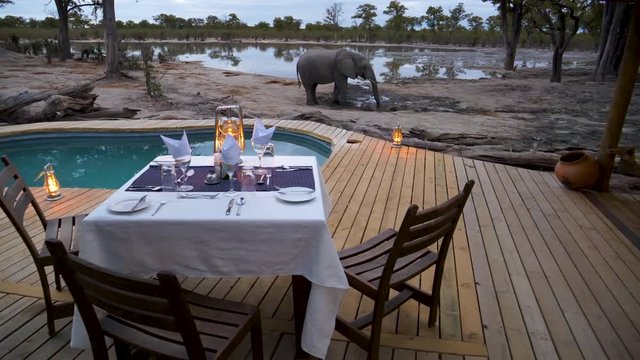 4K panning view of a dinner table set up on the outside deck with an elephant drinking at the waterhole in front of Khwai Private Reserve, Botswana