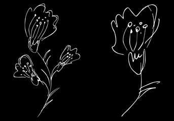 Two abstract wildflowers isolated on black background. Hand Drawn vector illustration. Wildflowers collection. Outline sketch