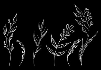Flowers and branches hand drawn collection isolated on black background. Floral graphic elements. Big vector set. Simple style collection