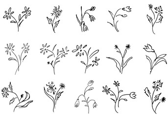 Flowers and branches hand drawn collection isolated on white background. 15 Floral graphic elements. Big vector set. Outline collection