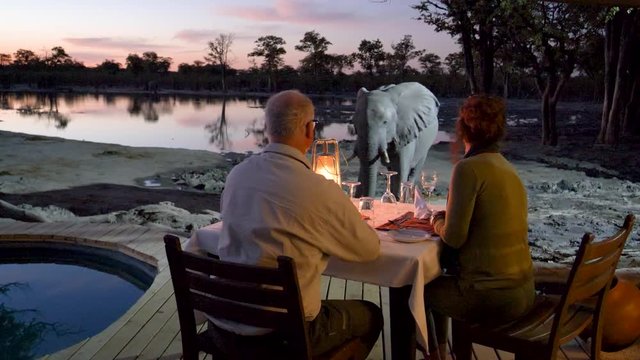 4K close-up view of tourists sitting at the dinner table at sunset on the outside deck watching an elephant close by in front of Khwai Private Reserve, Botswana
