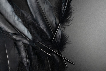feather abstract background. black feather background.