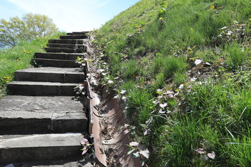 Moundsville, West virginia, just outside of Wheeling, is home to the Grave Creek Mound.  This historic landmark burial mound was built by the Arena people.