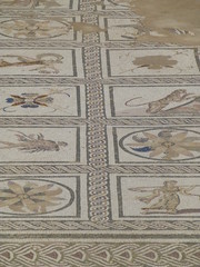 Santiponce, Italica, Romain ruins of Italica, Seville, Andalusia, Spain