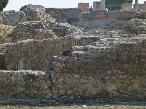 Santiponce, Italica, Romain ruins of Italica, Seville, Andalusia, Spain