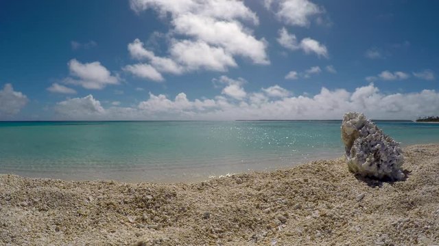 Bleached coral on sandy beach of pristine ocean in Foa Island, Tonga
