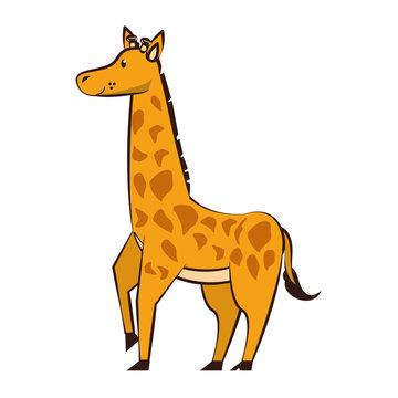 Giraffe wildlife cute animal cartoon