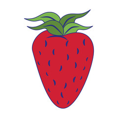 Strawberry fresh fruit isolated cartoon blue lines