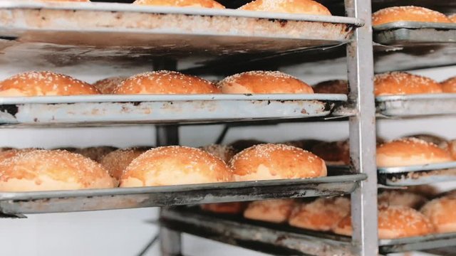 Baker putting trays of fresh buns in his bakery. Healthy and nutritious food.
