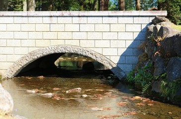 風景　川　橋　トンネル　森　茨城　公園