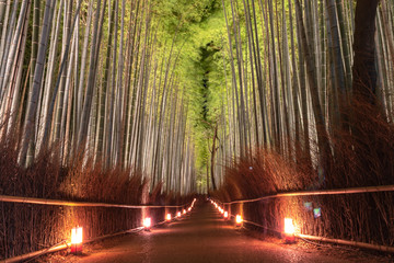 Arashiyama Bamboo Grove Zen garden light up at night, a natural forest of bamboo in Arashiyama,...