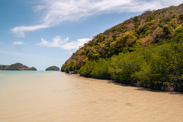 Sea coastline and mangrove forest in Talet bay at Nakhon Si Thammarat province of Thailand.