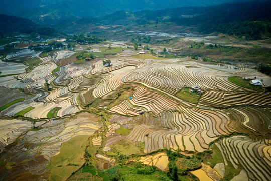 Aerial image of rice terraces in Sang Ma Sao, Y Ty, Vietnam
