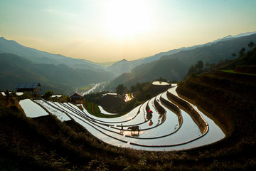MU CANG CHAI, VIETNAM - MAY 25, 2019: An unidentified man harrowing the fields at sunset.