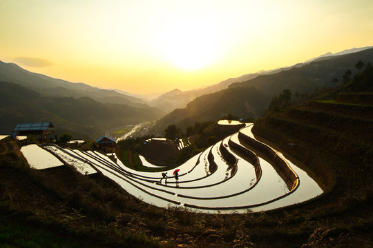 MU CANG CHAI, VIETNAM - MAY 25, 2019: An unidentified man harrowing the fields at sunset.