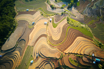 Aerial view of rice terraced fields in Mu Cang Chai, Vietnam at watering season.