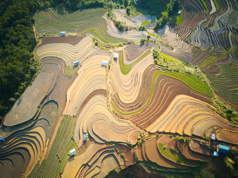 Aerial view of rice terraced fields in Mu Cang Chai, Vietnam at watering season. © hcongthanh