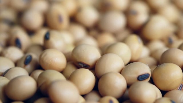 Video footage of fresh raw soybeans in wooden bowl, close up, full high defination resolution, thirty frame per second, slowmotion