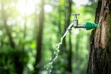 Source of pure, clean, healthy water in the nature