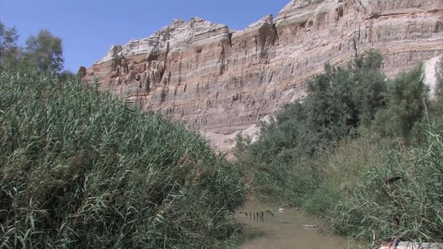 Tamarisk and cliffs, Jordan River, Israel