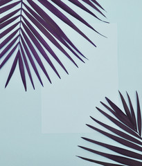 Palm tree leaf in trendy violet color.