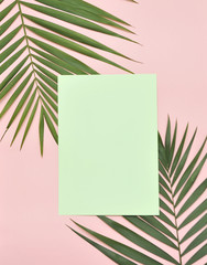 Paper with copyspace on palm tree leaf background.