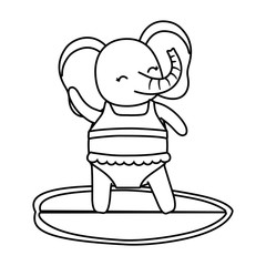 cute animal enjoying summer vacations