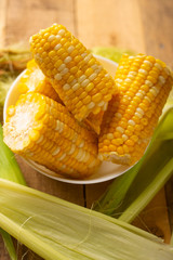 boiled corn cob in a plate with butter, on wooden textures and green stalks of corn, tasty homemade food, for a picnic