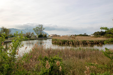 Large lake