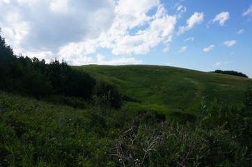 Naklejka premium Canada_Calgary_Nose Hill_5