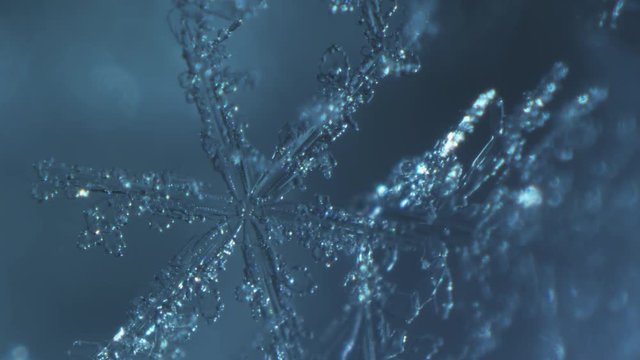 氷の結晶 Images Browse 905 Stock Photos Vectors And Video Adobe Stock