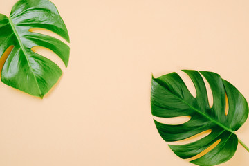 Fototapeta na wymiar Tropical leaves Monstera on yellow background with space for a text. Flat lay, top view, pastel colors, summer minimal concept
