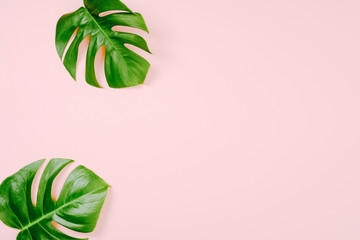Fototapeta na wymiar Tropical leaves Monstera on pink background with space for a text. Flat lay, top view, pastel colors, summer minimal concept