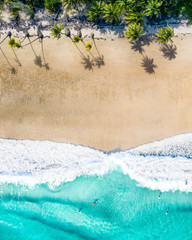 Beach aerial with palm trees, blue turquoise ocean and white sand. Magazine cover for travel, lifestyle, fashion