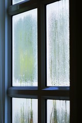 Raindrops on window in fresh morning