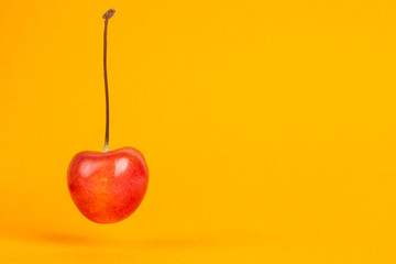 Red cherry completely hanging on a orange background