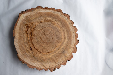 A piece of oak tree in the cut. View from above