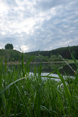 Drops of dew on the green grass after the rain near the lake. drops grass lake