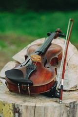 Beautiful wooden violin lying on the stump in the forest. Fragment of violin closeup