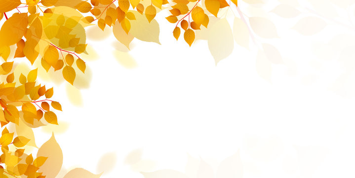 14 393 2 件の最適な 秋 画像 ストック写真 ベクター Adobe Stock