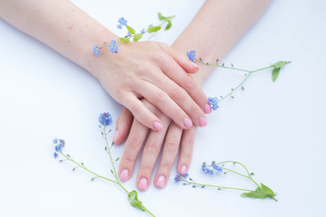 beautiful soft hands of a woman and forget me nots flowers skincare