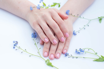 beautiful soft hands of a woman and forget me nots flowers skincare